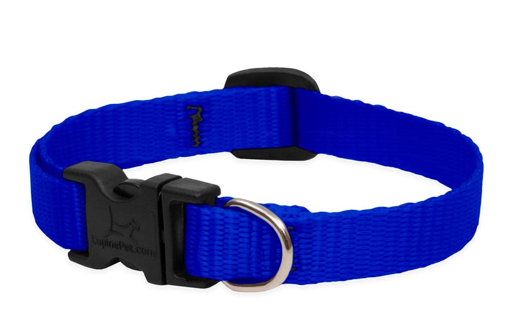 LupinePet Basics 1/2'' Blue 10-16'' Adjustable Collar for Small Dogs