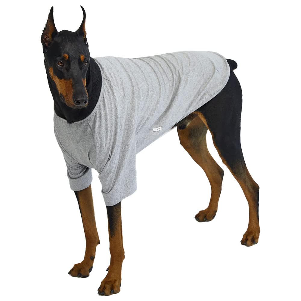 Lucky Petter Dog Shirt For Small Dogs Plain T-Shirts Soft Breathable Dog Cotton Shirt Pet Clothes (X-Large, Gray)