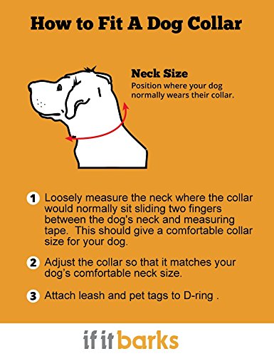 If It Barks Personalized 1 Striped Dog Collar - Engraved Name - Custom Size, Blueberry
