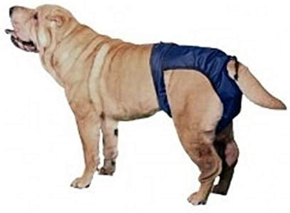 Integrated Pet Solutions SnuggEase Washable Dog Diaper (Pack of 2), Large