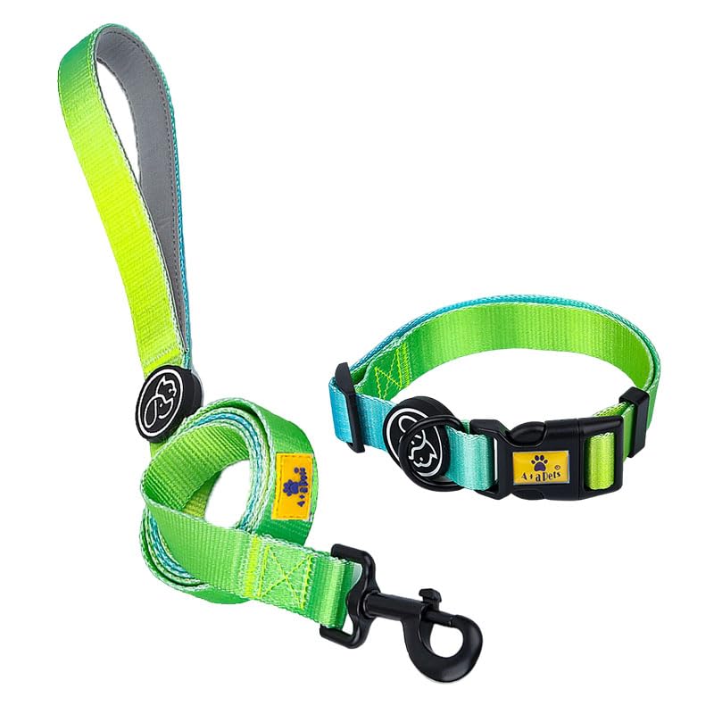 A+A Pets SkinFriendly Buckle Dog Collar & Leash Combo For Dogs Cats  Durable, Adjustable, Soft, Neoprene Padded Handle (Gradi