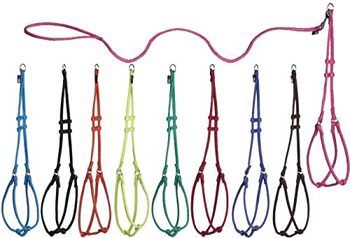 Dogline Soft And Padded Comfort Microfiber Leash For Dogs M (W1/3 X L36 X G18-26''), Orange
