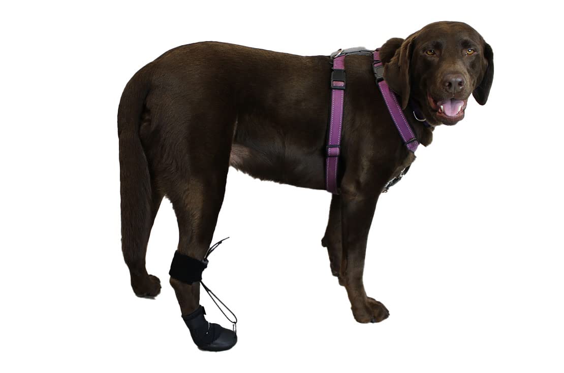 Walkabout Toe'Sup Anti-Knuckling Aid | Supportive 2-In-1 Dog Boot And Paracord Solution For Paw And Pad Protection | Rapid Pain