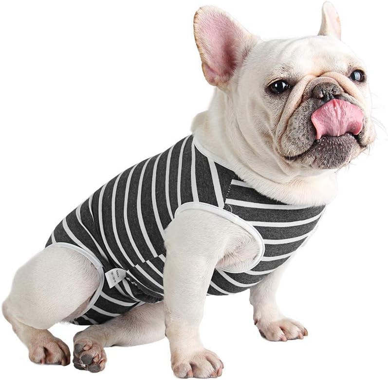 Due Felice Dog Diapers Sanitary Panties Doggy Period Onesie Bodysuits Pet Recovery Suit After Surgery Wear For Male And Female D