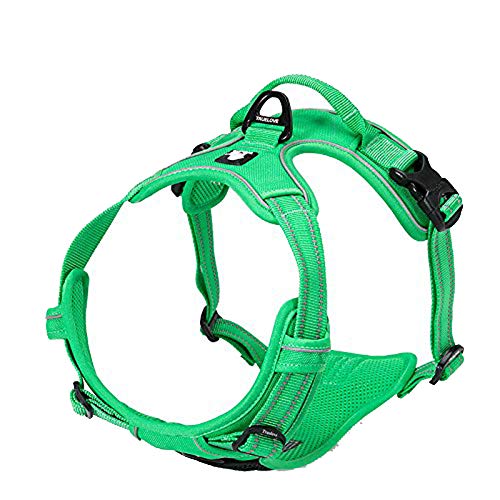 True Love Adjustable No-Pull Dog Harness Reflective Pup Vest Harnesses Comfortable Control Brilliant Colors Truelove Tlh5651(Grass Green,Xs)