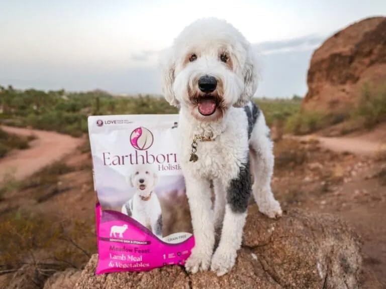 Earthborn Holistic Meadow Feast Grain-Free Dry Dog Food, Lamb Meal & Vegetables, 25 lb, Brown