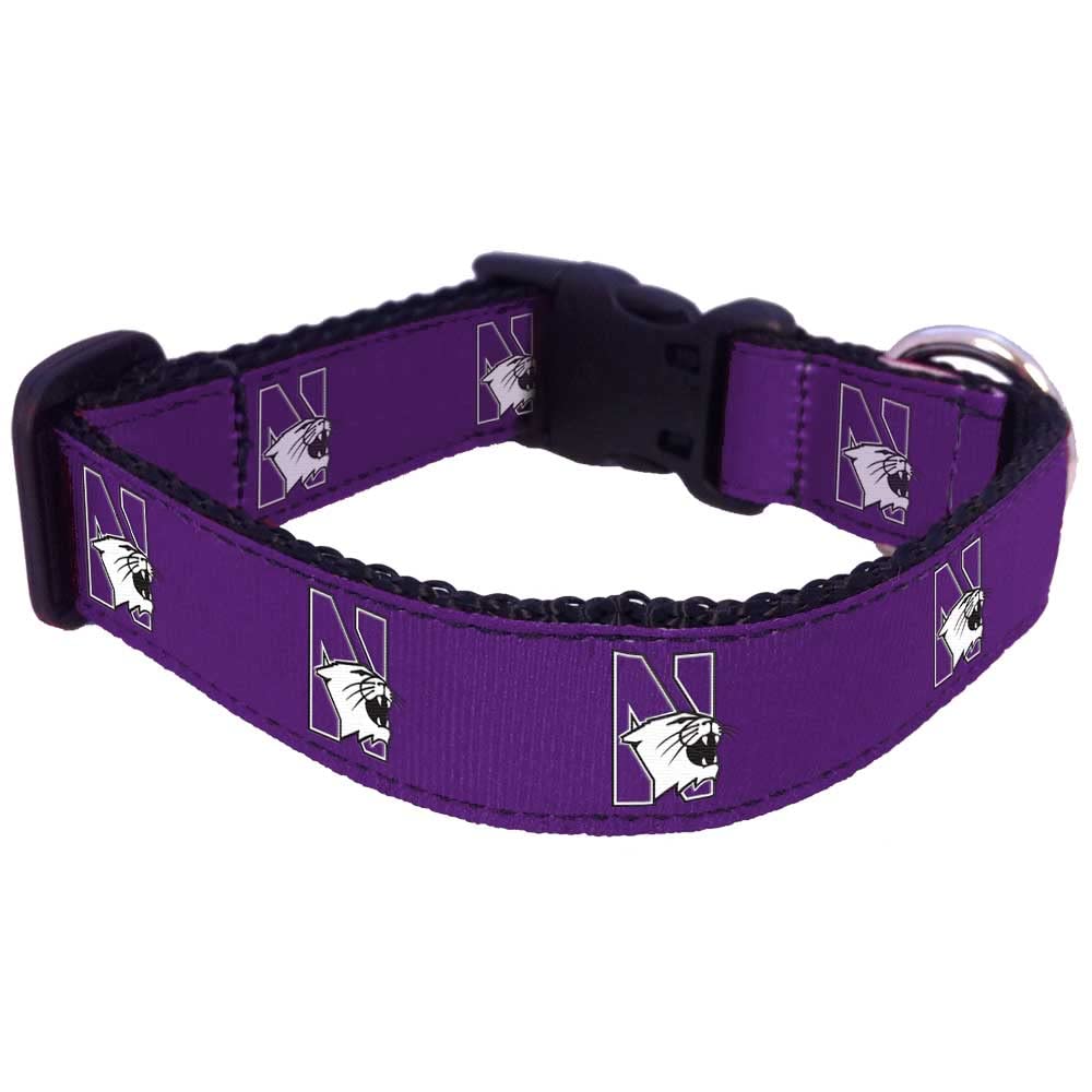 College Dog Collar (Medium, Northwestern)