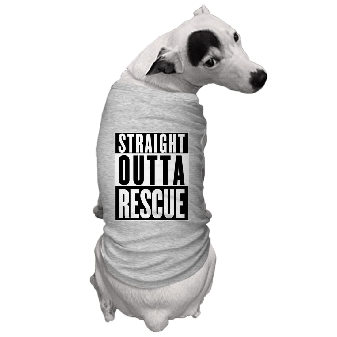 Straight Outta Rescue - Shelter Dog Shirt (Light Gray, Medium)