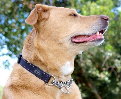 Rogz Utility Extra Large 1-Inch Reflective Lumberjack Obedience Half-Check Dog Collar, Orange