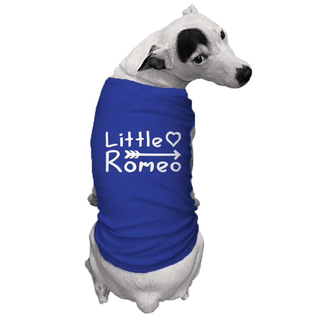 Little Romeo - Stud Handsome Cute Juliet Love Dog Shirt (Royal Blue, Large)