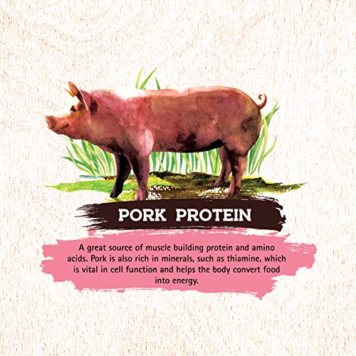 Inception Dry Dog Food Pork Recipe - Complete and Balanced Dog Food - Meat First Legume Free Dry Dog Food - 4 lb. Bag