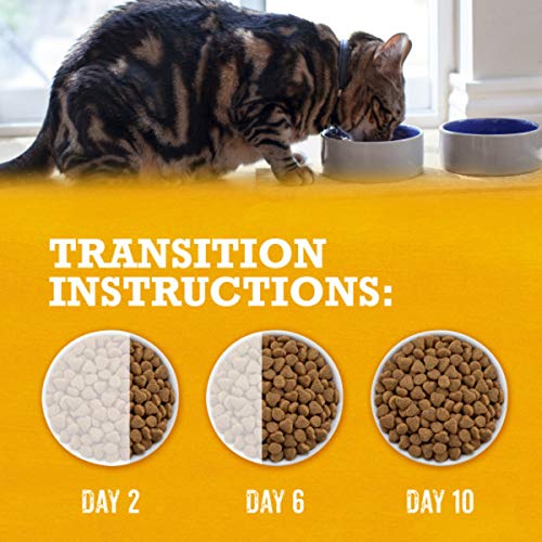 Purina Beyond Grain Free White Meat Chicken and Egg Recipe Natural Cat Food High Protein Cat Food Dry Formula - 16 Lb. Bag