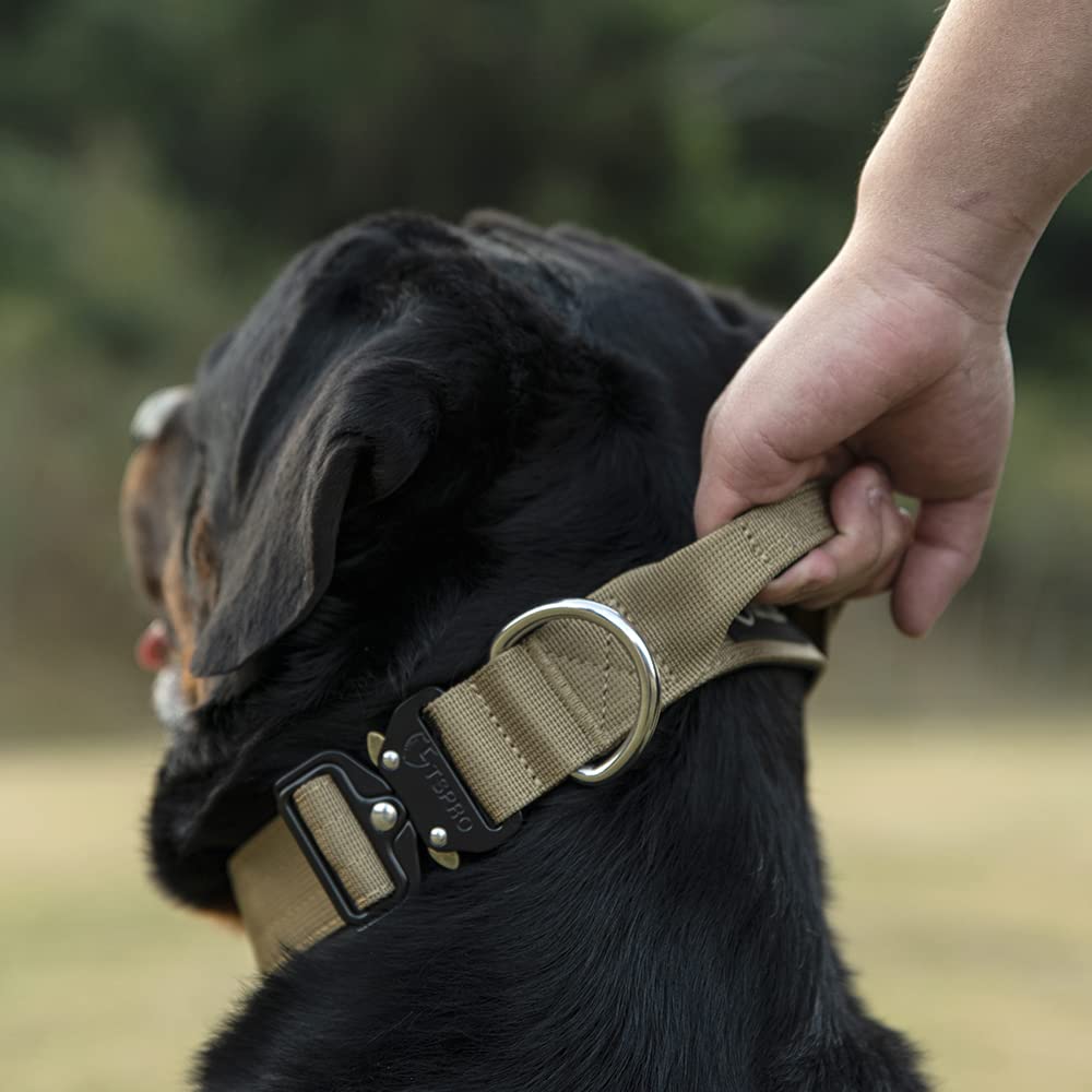 TSPRO Premium Dog Collar - Heavy Duty Nylon, Adjustable Size M (14.5"-18"), Quick-Release Metal Buckle, Purple