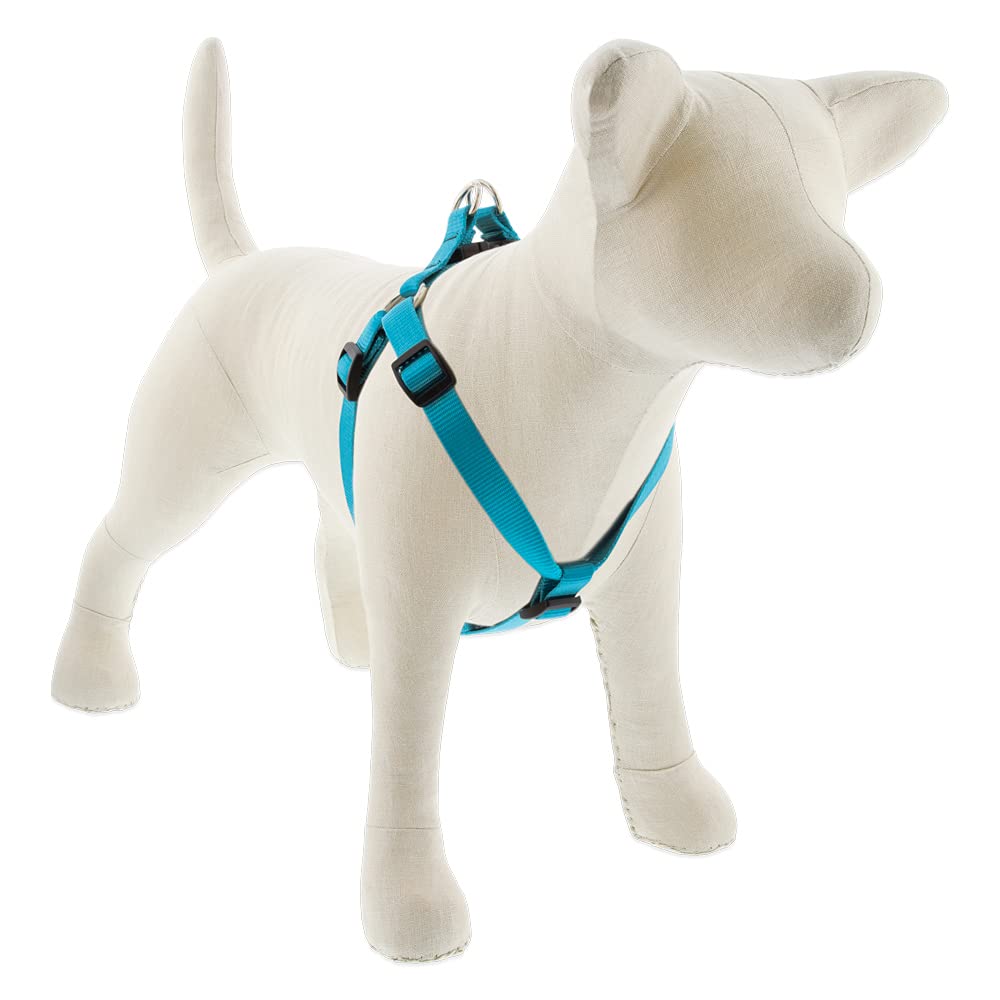 Lupine Step in Dog Harness 3/4'' Wide Aqua with 20-30'' Adjustable Girth