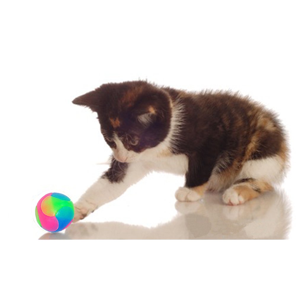 Fineinno 4 Pcs Light Up Dog Balls Flashing Elastic Ball Glow In The Dark Interactive Pet Toys For Puppy, Cats, Dogs