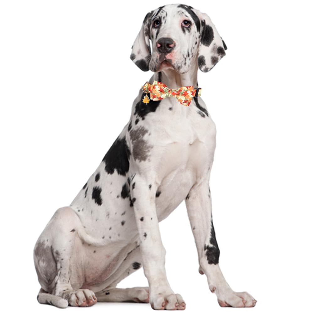 Thanksgiving Day Dog Collar Fall With Bowtie And Bell Autumn Holiday Adjustable Pet Collars For Dogs (Maple Leaf,Large)