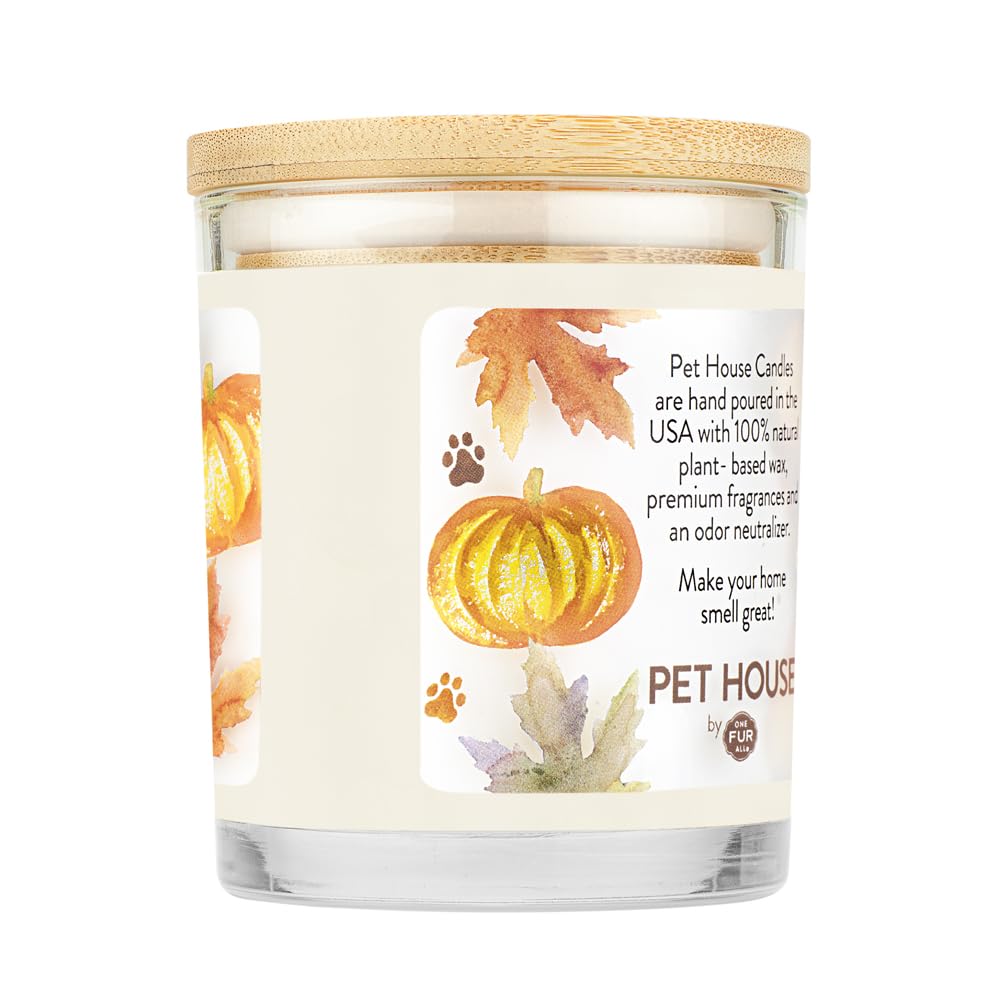 Pet Odor Candle, 9 OZ Pumkin Sented Candle for Home, Clean Burning Plant Based, 60 Hour Burn Time