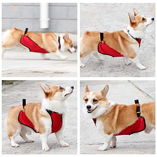 Kelendle Warm Pet Belly Vest - Dog Belly Cover Protector Harness - Waterproof Pet Costume for Short Leg Female Dogs & Puppies