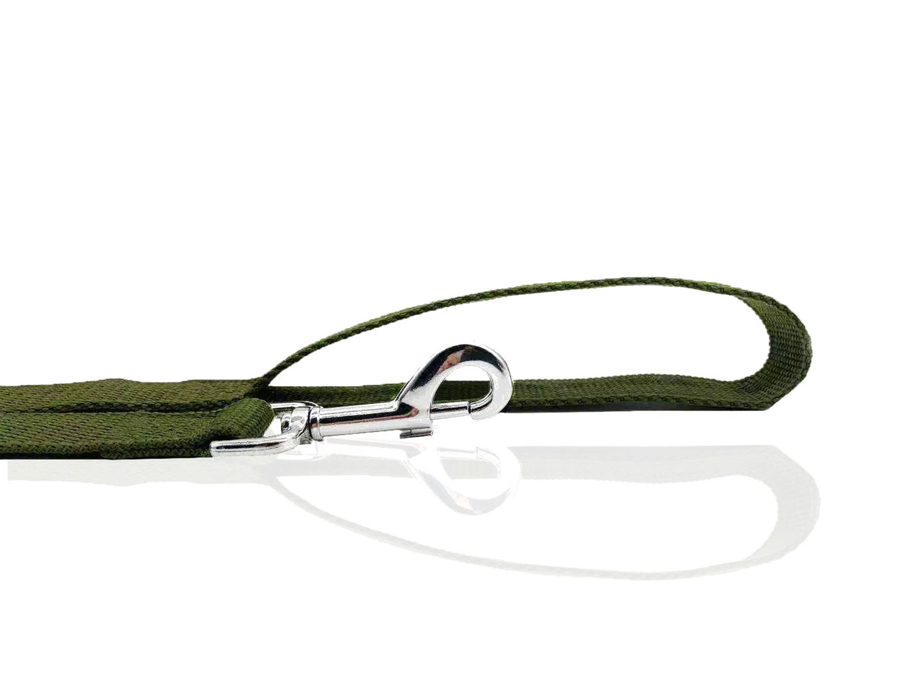Nylon Dog Leash 4 Ft 5 Feet 6 Foot Long, Walking Training Dog Leashes For Medium Large Dogs, 1 Inch Wide (1'' X 4 Ft, Green)