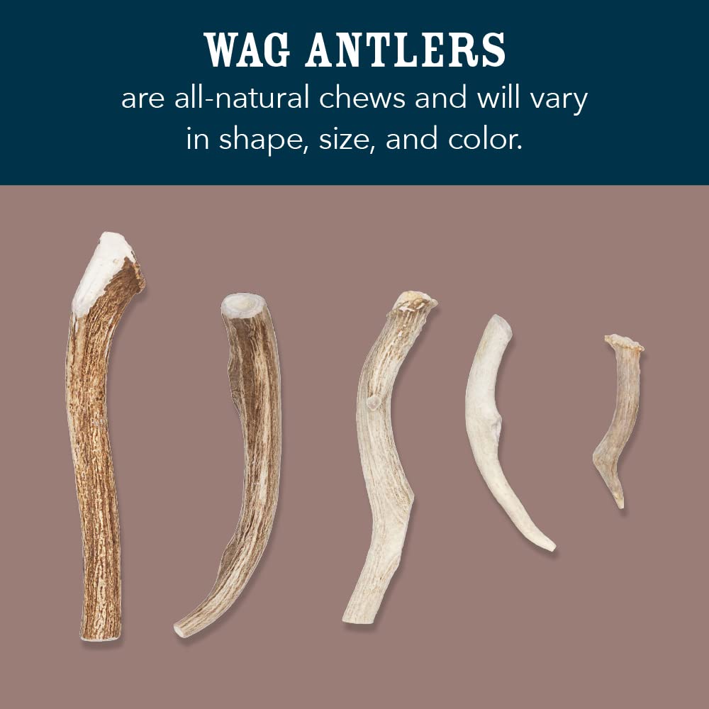 Amazon Brand - Wag Dog Elk Antler Chew, Naturally Shed, Whole, Medium 6-7.5 inches, Long Lasting for Aggressive Chewers, Best fo