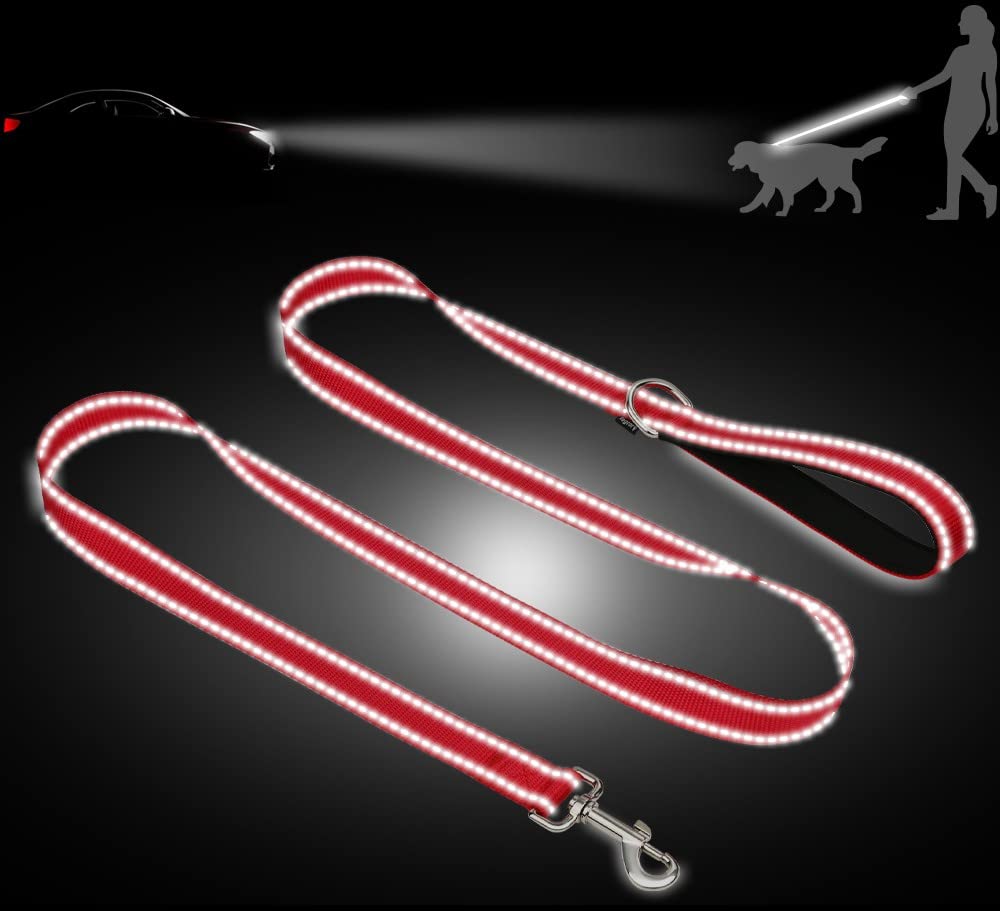 Taglory Nylon Dog Leash 6Ft, Soft Padded Handle Pet Reflective Leashes For Medium Large Dogs Walking & Training, Red