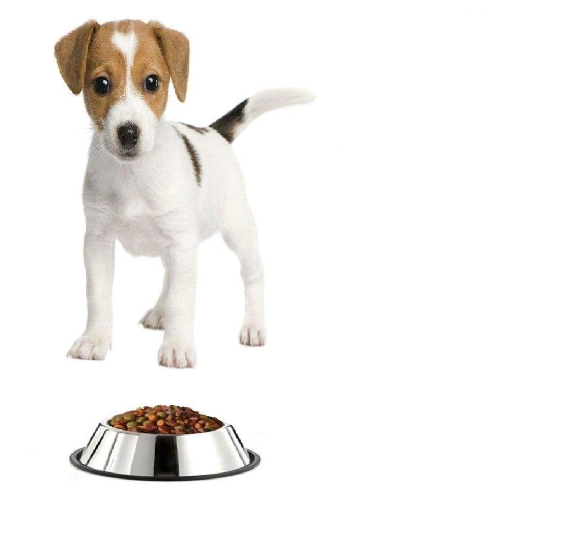 Pets Empire Steel Dog Feeding Bowl (X Small)