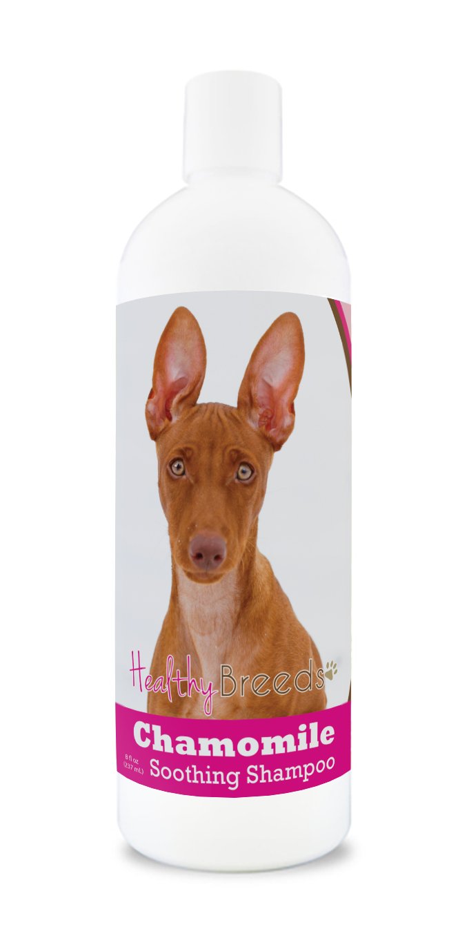 Healthy Breeds Cirnechi dell'Etna Chamomile Soothing Dog Shampoo 8 oz