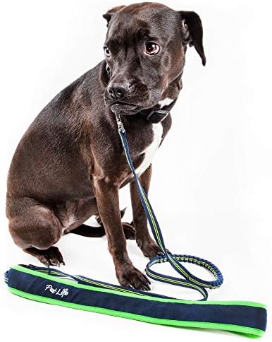 Pet Life  Freefetcher Hands Free Overtheshoulder Shock Absorbent Dog Leash, Navy Blue  Small