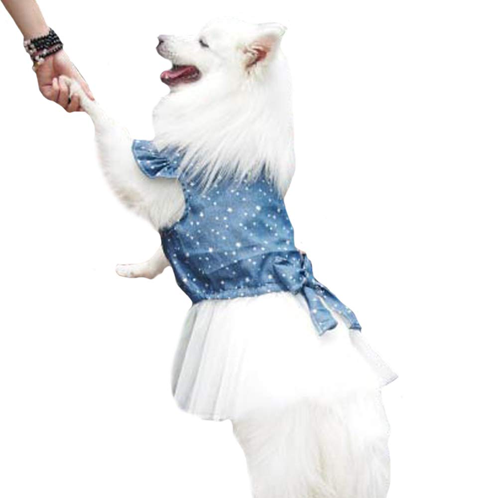 Polka Dot Big Large Dog Princess Dress Tutu Skirt Golden Retriever Pitbull Summer Dog Clothes Hoodie Costume (Xxl, Blue)