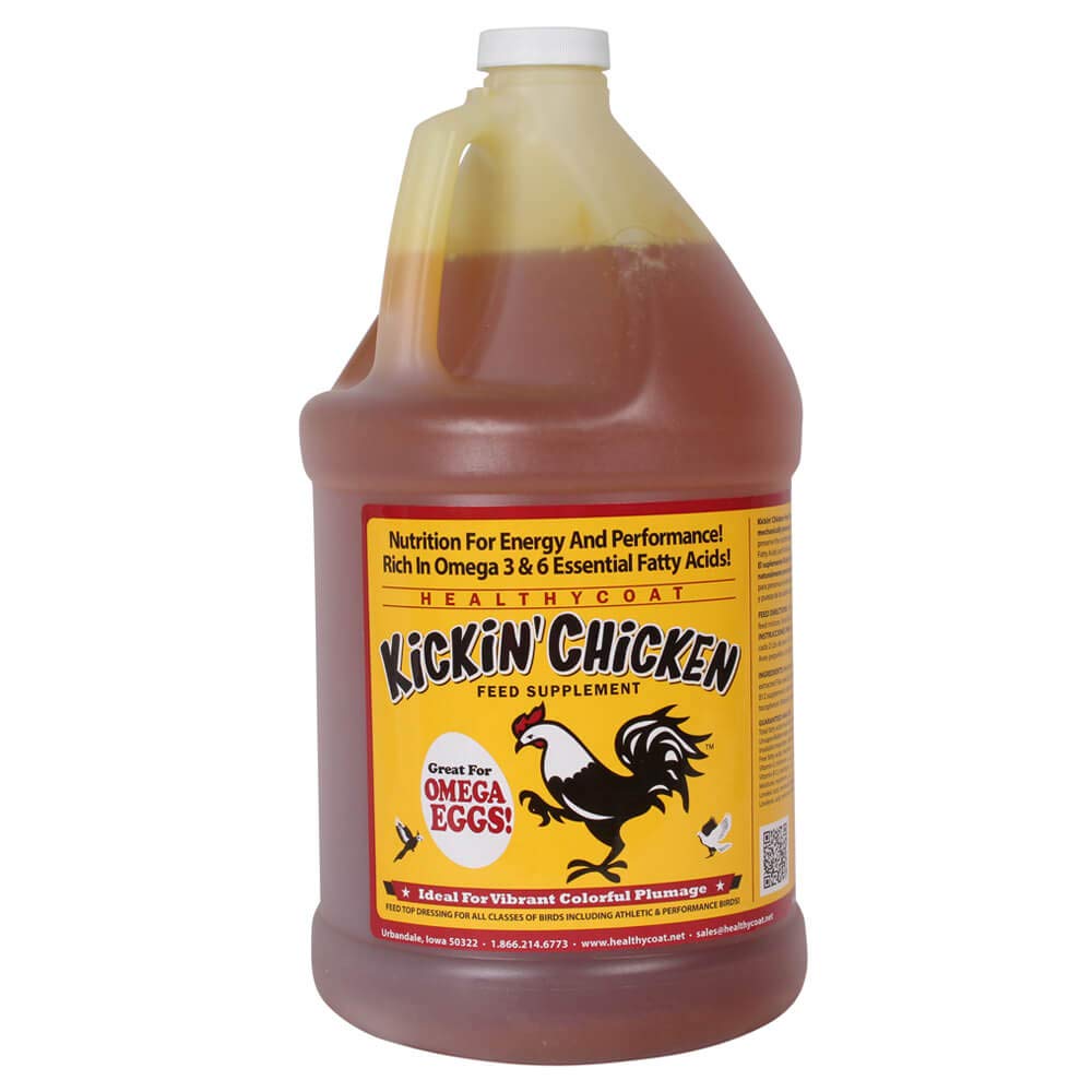 Healthy Coat Kickin Chicken Feed Supplement: Gallon. Plumage, Skin, Molting, Egg, Immune System, Energy