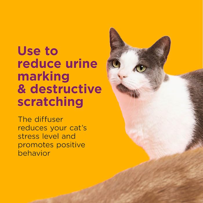 Comfort Zone Single & Multi-Cat Calming Refills for a Soothing Home 96ml Pack of 2