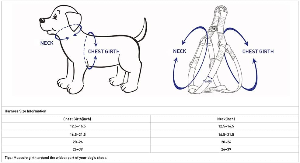 Blueberry Pet Essentials Classic Durable Solid Nylon Step-In Dog Harness, Chest Girth 20' - 26', Emerald, Medium, Adjustable Harnesses For Puppy Boy Girl Dogs