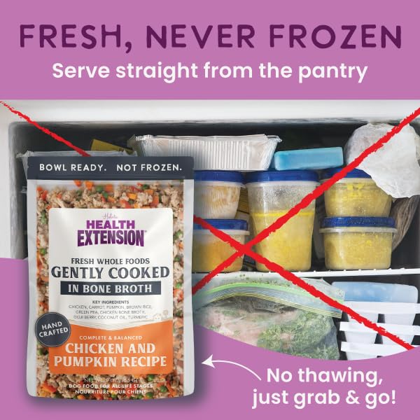 Health Extension Gently Cooked Chicken & Pumpkin Dog Food, Human-Grade & Shelf-Stable with Superfoods, Supports Digestion, Immun