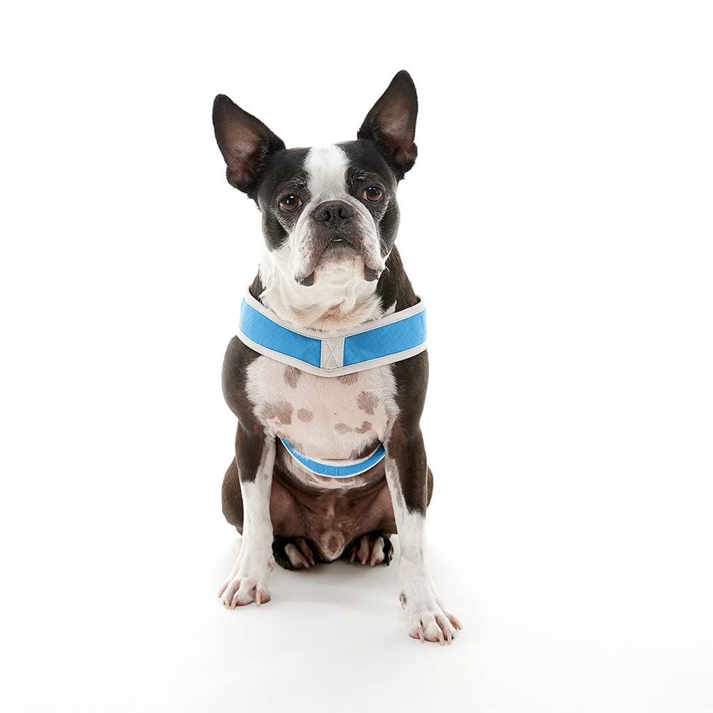 Gooby Simple Step in III Harness - Blue, Medium - Small Dog Harness with Scratch Resistant Outer Vest - Soft Inner Mesh Harness