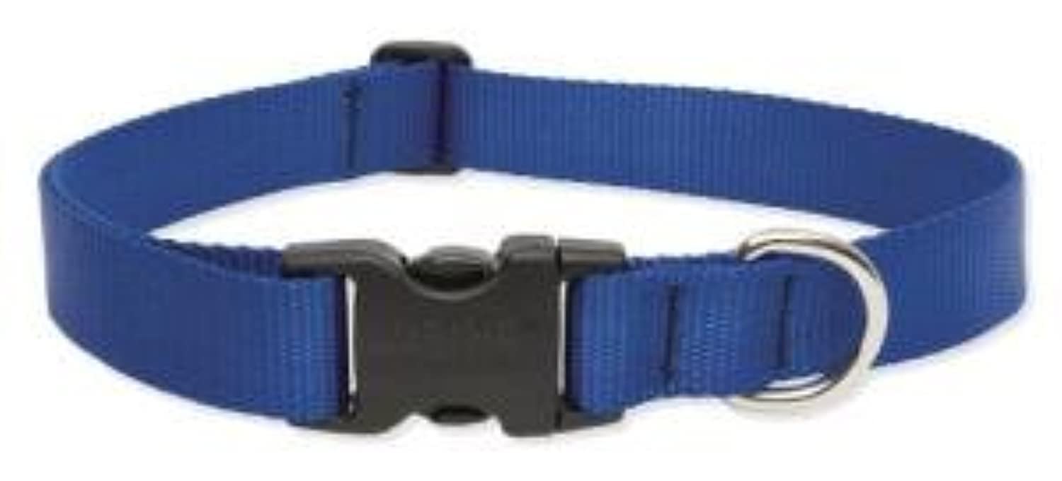 LupinePet Basics 1/2'' Purple 6-9'' Adjustable Collar for Extra Small Dogs