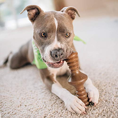 Benebone Zaggler Rolling Dog Chew Toy for Aggressive Chewers, Real Chicken, Made in USA, Large