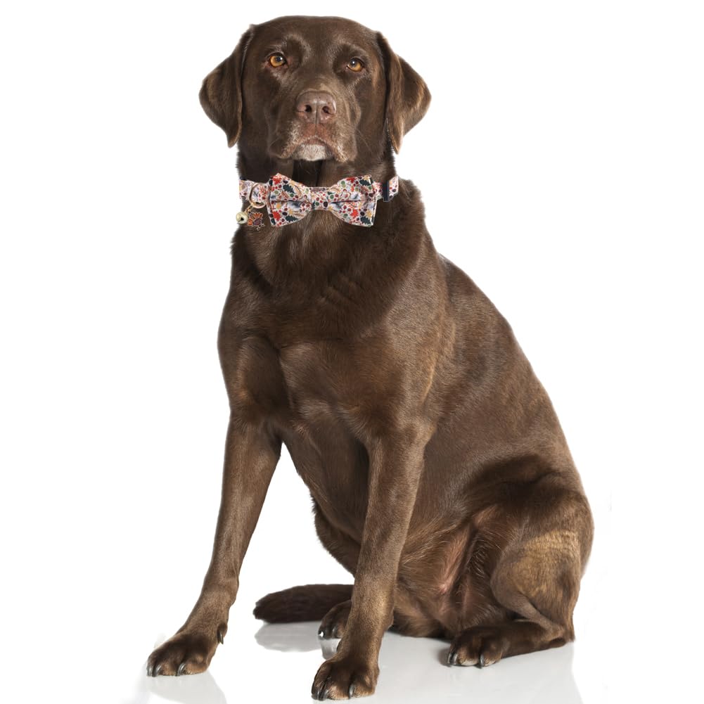Thanksgiving Day Dog Collar Fall With Bowtie And Bell Autumn Holiday Adjustable Pet Collars For Dogs (Turkey,Small)