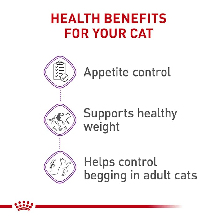 Royal Canin Appetite Control Spayed/Neutered Dry Adult Cat Food, 6 lb bag