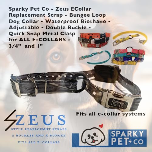 Sparky Pet Co - Zeus Ecollar Replacement Strap - Bungee Loop Dog Collar - Waterproof Biothane Adjustable - Double Buckle - Quick