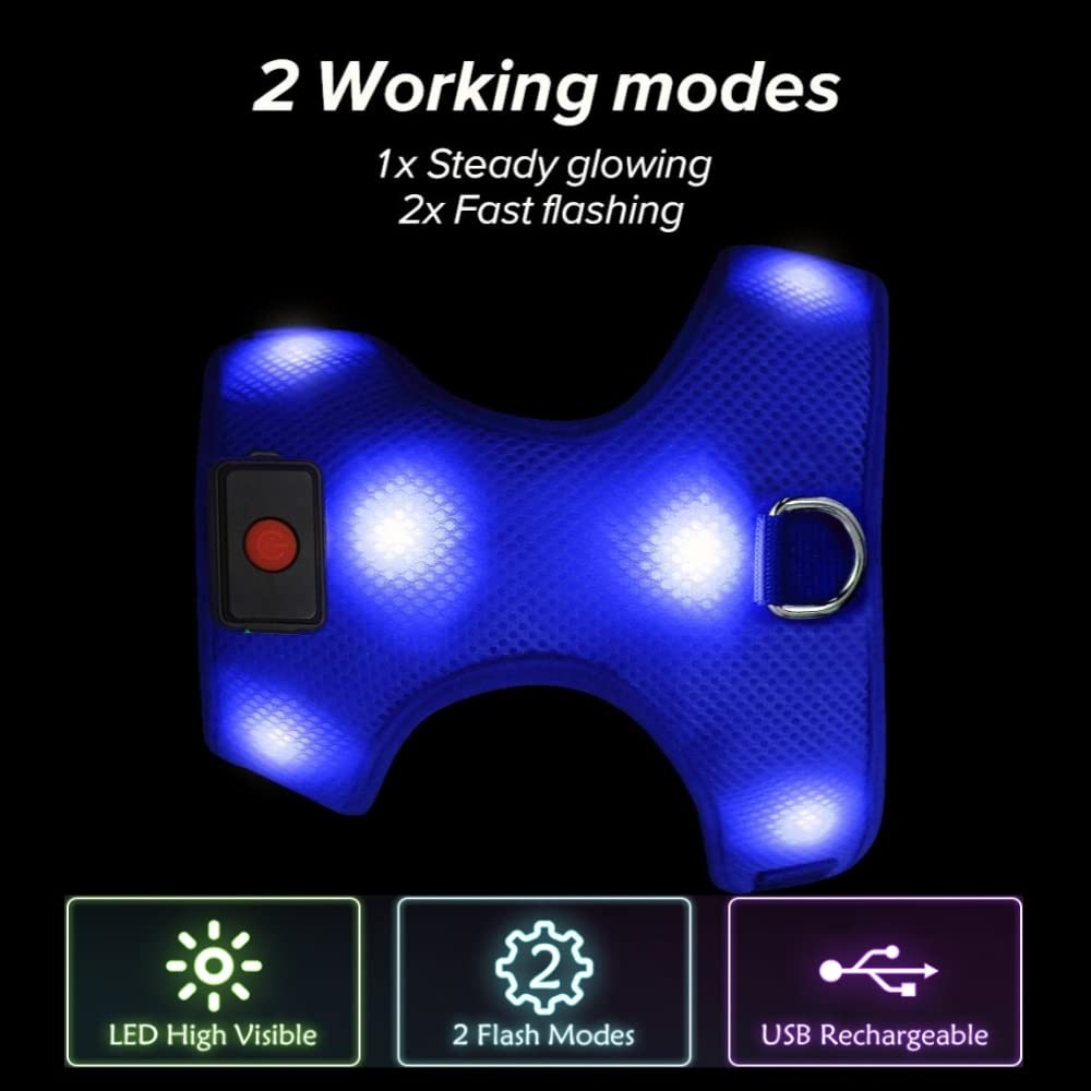 DOMIGLOW LED Dog Harness - No-Pull Light Up Dog Harness - Rechargeable Glowing Pet Vest for Night Walking & Camping (Blue, Small