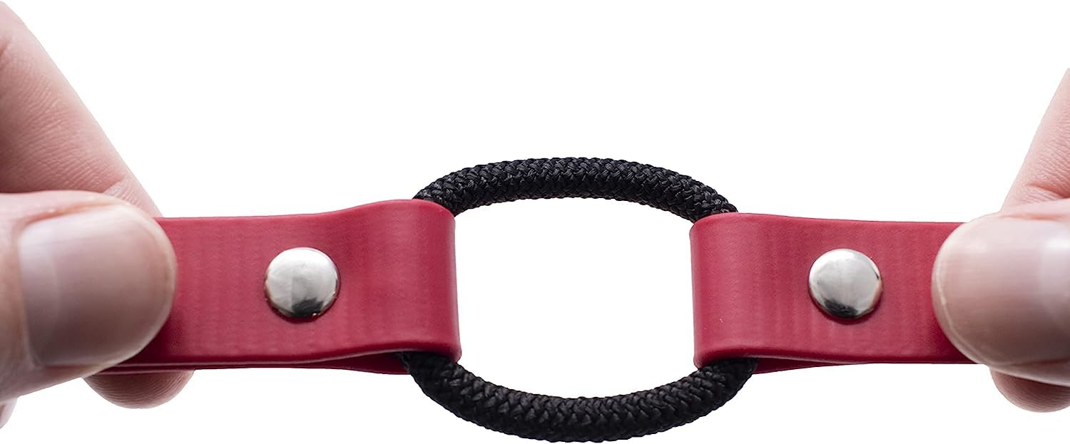 Educator Quick Snap Bungee Dog Collar, Biothane, Waterproof, Odorproof, Easy Connect And Disconnect Clasp And D Ring With Comfort Bungee Loop, Adjustable For Custom Fit, 1-Inch, Red