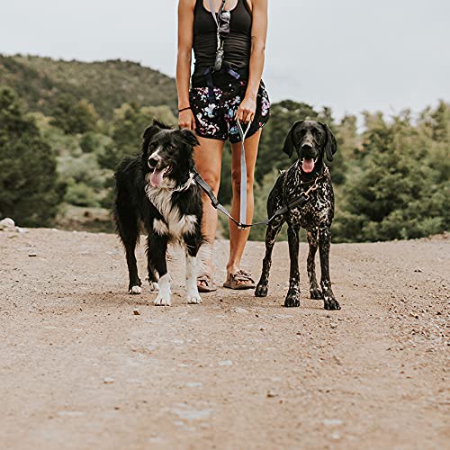 Mighty Paw Double Dog Leash  Dual Dog Leash, Two Dog Leash, Multiple Dog Leash For 2 Dogs, Double Leash For Dogs, Leash Splitter