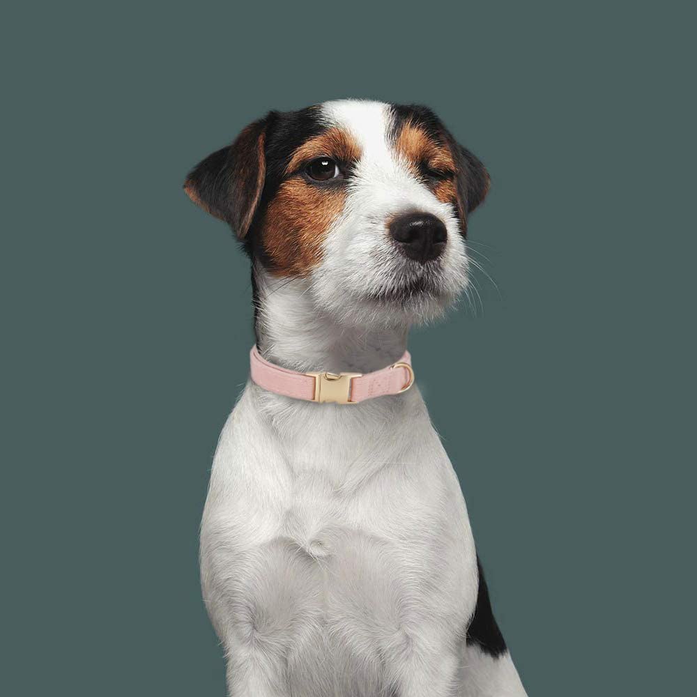 YUDOTE Soft Cotton Dog Collar with Metal Buckle Adjustable Heavy Duty Comfy Corduroy Collars for Small Medium Large Dogs,Light P