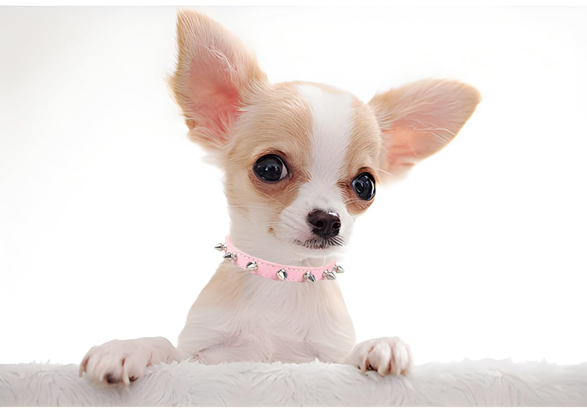 Spiked Dog Collar For Small Dogs,Soft Pu Leather Rivet Spike Stud Studded Cat Collars Adjustable For Xs Small Breed Pet Teacup M