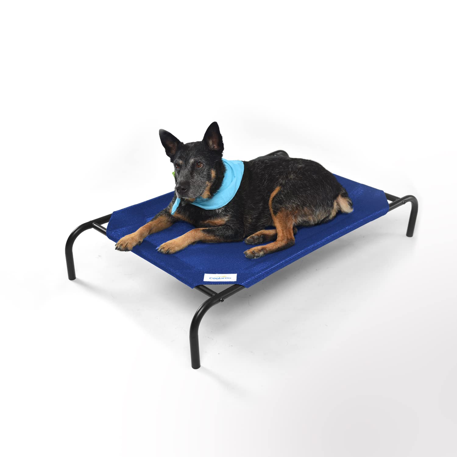Coolaroo The Original Cooling Elevated Pet Bed, Medium, Aquatic Blue