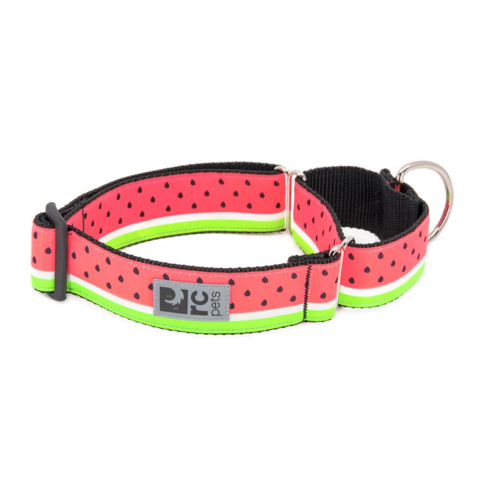 Rc Pets 1-1/2 Inch All Webbing Martingale Training Dog Collar, Medium, Watermelon