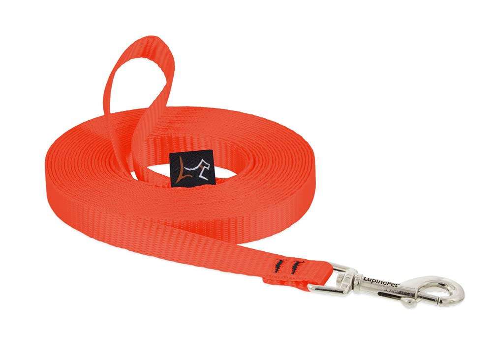 Lupinepet Basics 1/2'' Blaze Orange 30-Foot Extra-Long Training Leash For Small Dogs