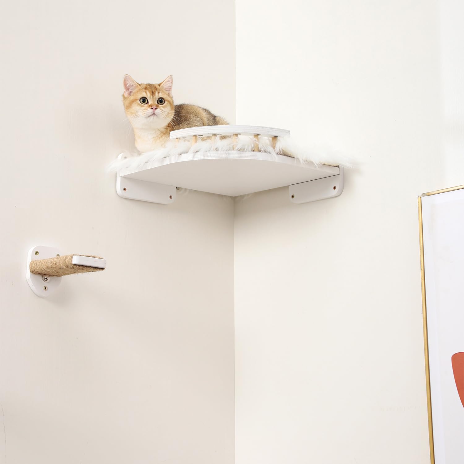 COOLEX Cat Wall Shelves - 3-Step Scratch Post & Hammock Bed, Medium, White, Cotton, Model CWS04C for Indoor Cats