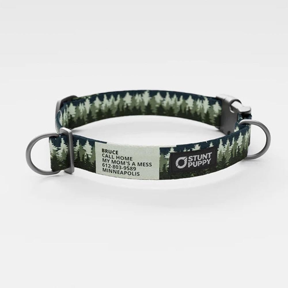 Pines Green Everyday Collar, Large