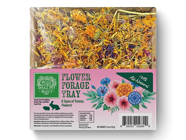 Small Pet Select Forage Tray Bundle, 3 Pack of Foraging Trays for Rabbit, Guinea Pig, Hamster or Bunny - Natural Treats, Dandeli
